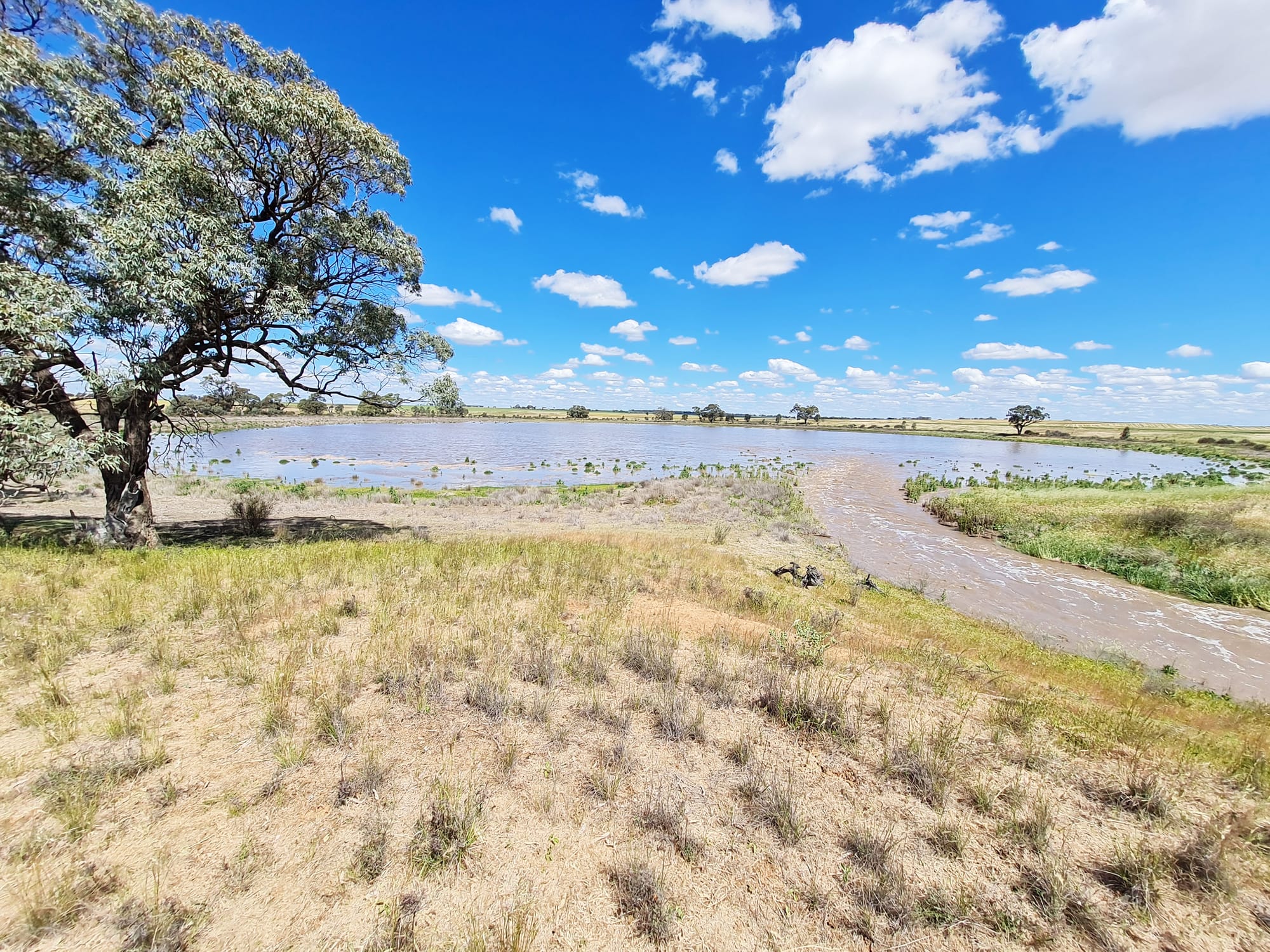 Rain Storm Helps Fill Local Lakes
