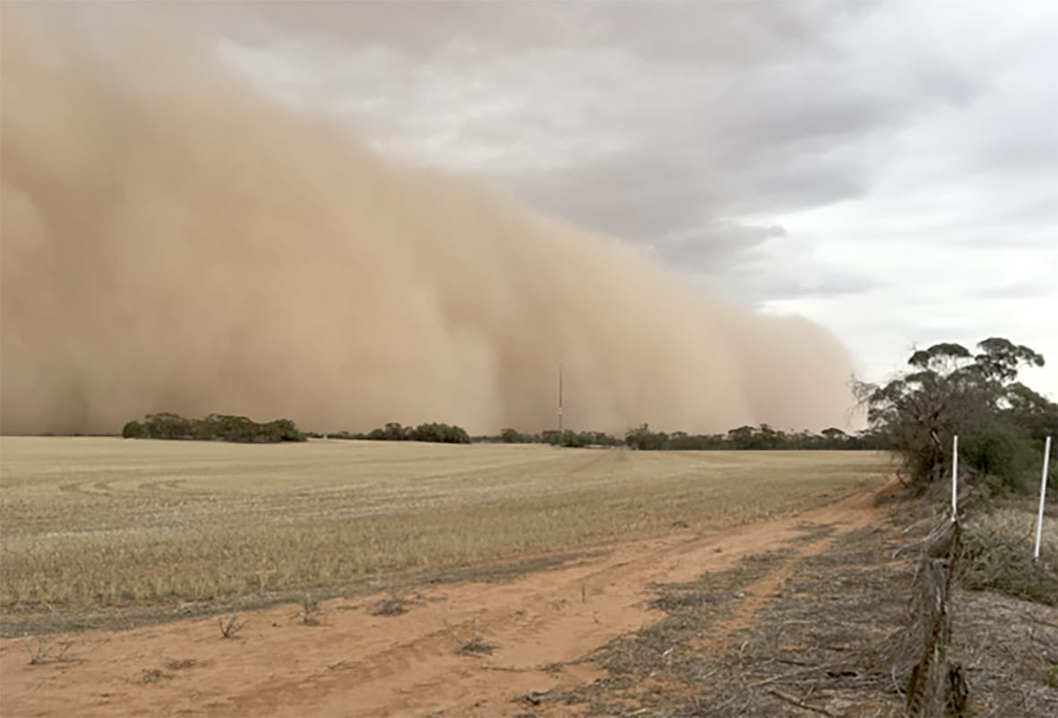 Mallee Wind Erosion Annual Wrap and Webinar