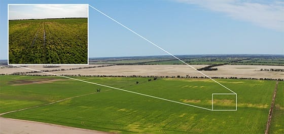 Tips to Recover Bogged Machinery Safely