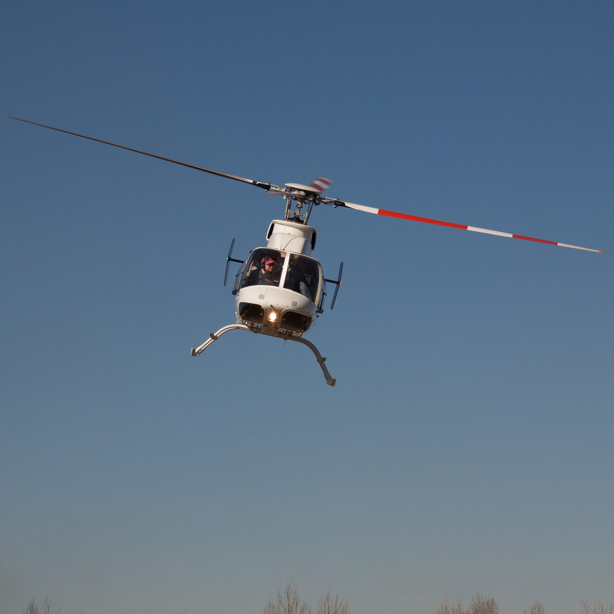 Helicopter Survey on Victoria’s Game Ducks
