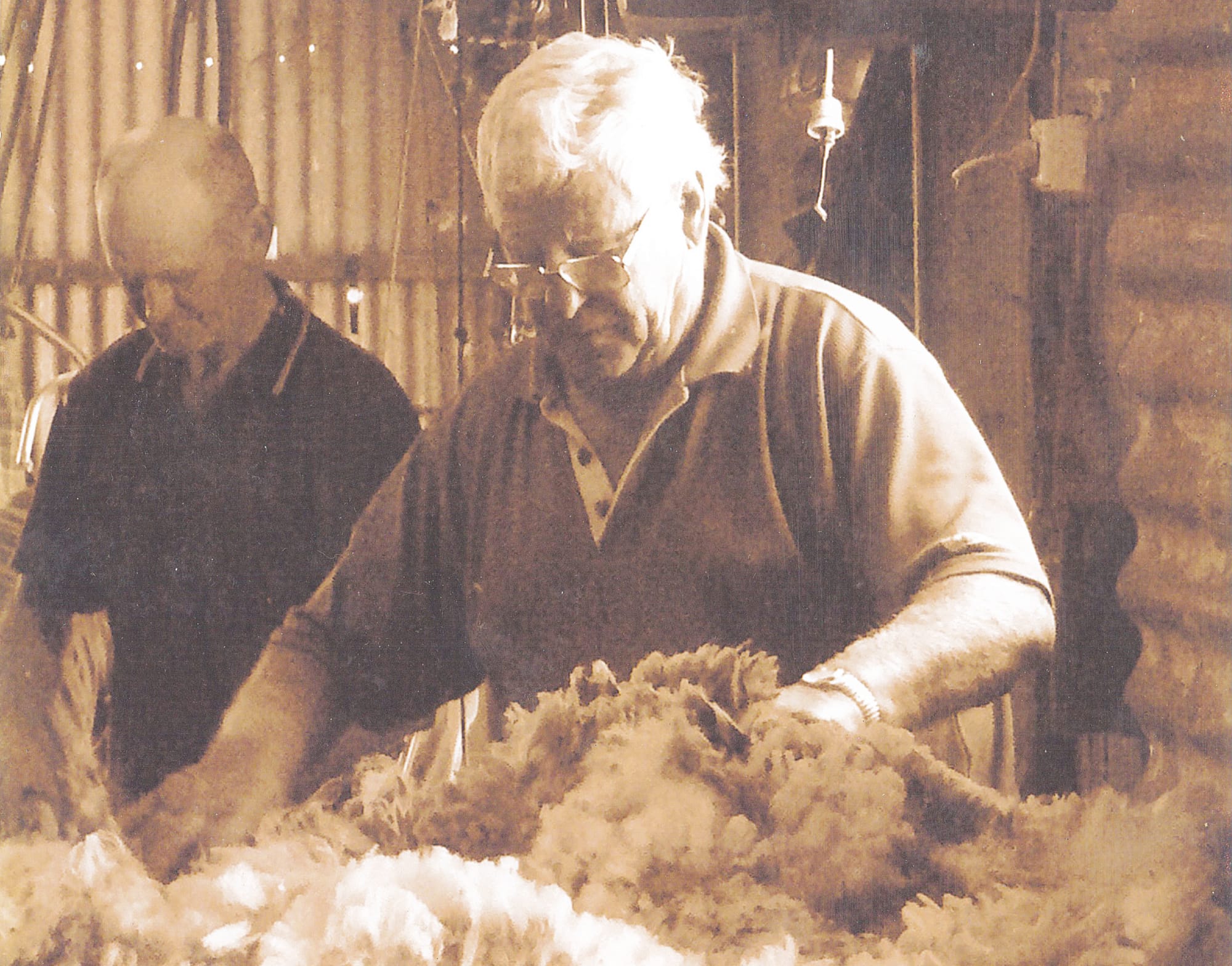 Click Go the Shears – a Shearer’s Life at Wycheproof