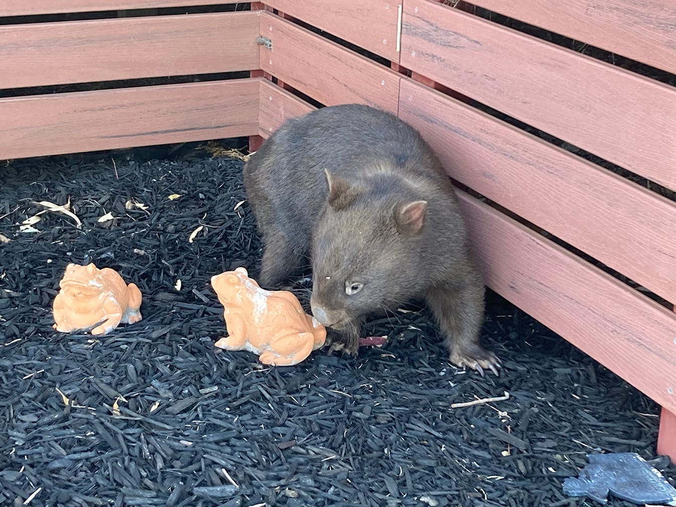 Friday, June 6, 2025