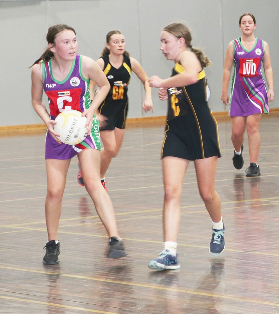 Netballers Utilise Birchip School Court