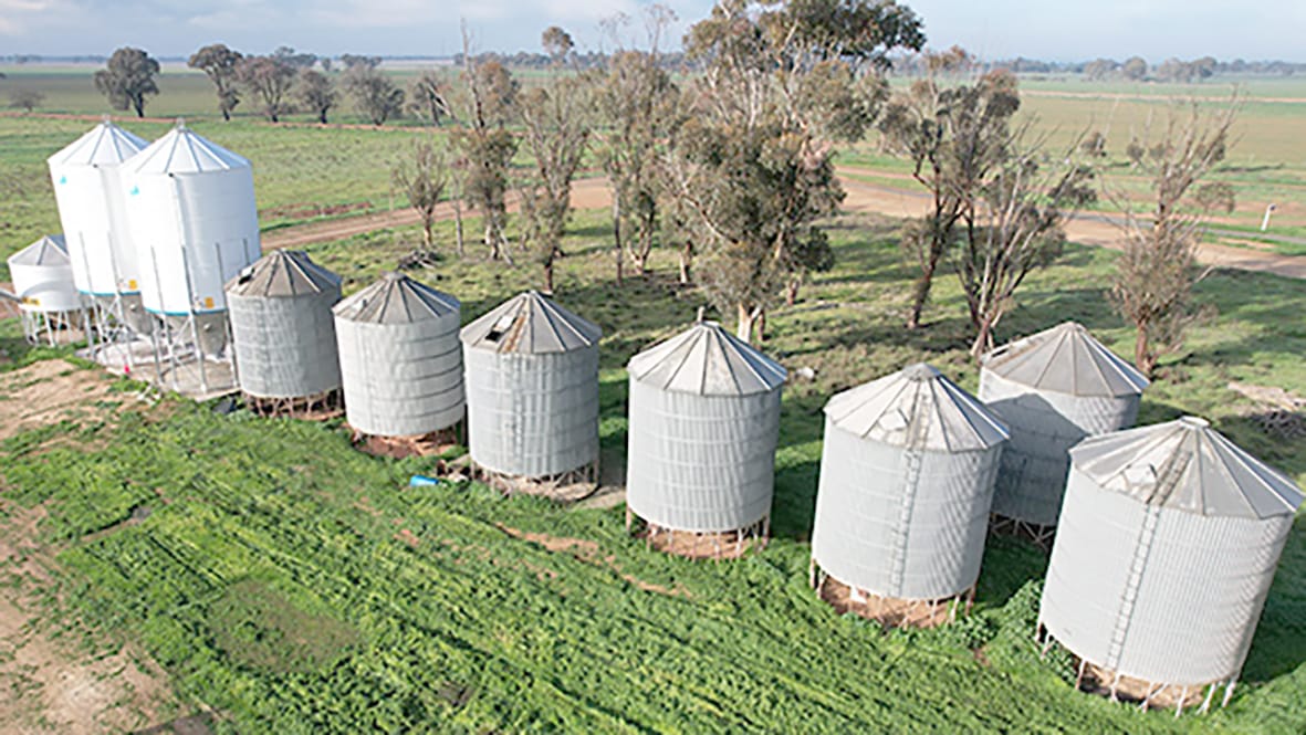 Safeguard Grain with Gas-tight Storage