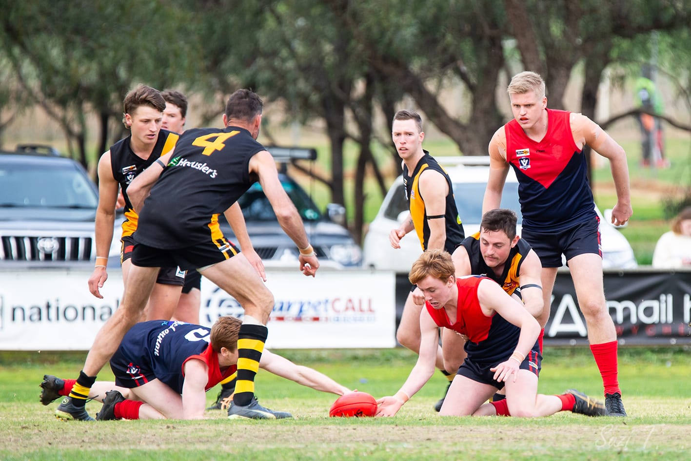 There’s No Taming the Tigers