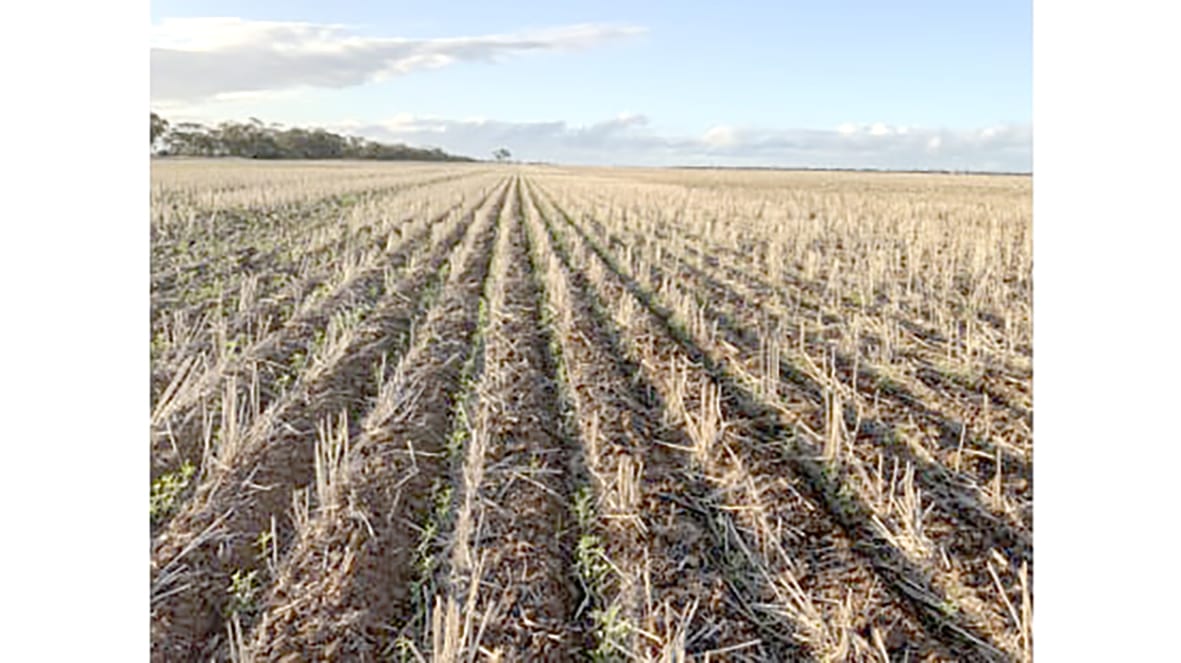 Aussie Farmers Astutely Managing Climate Change