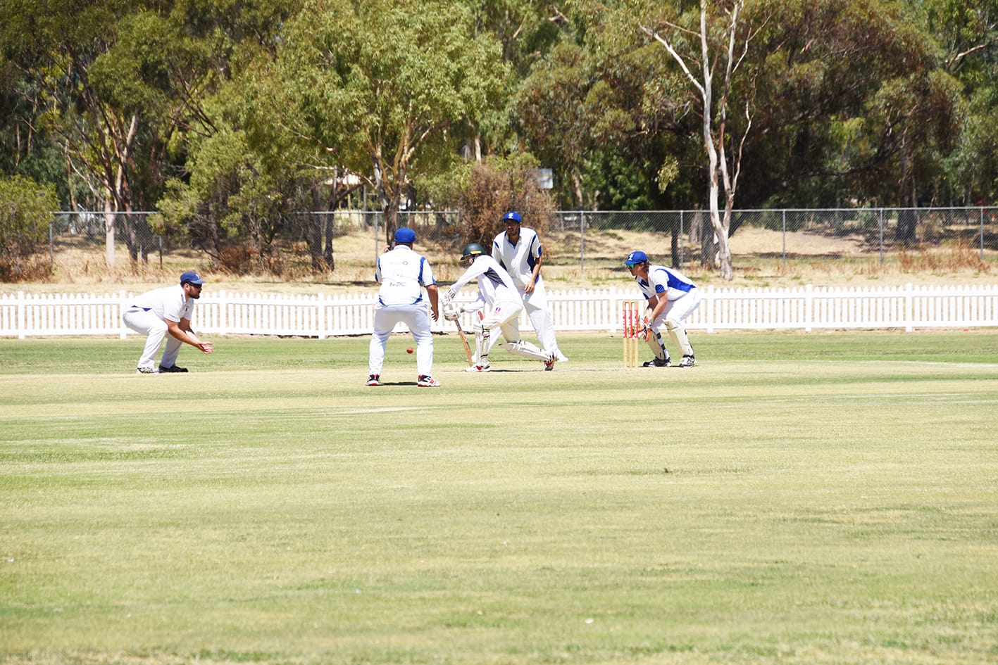 So Many Top Four Possibilities