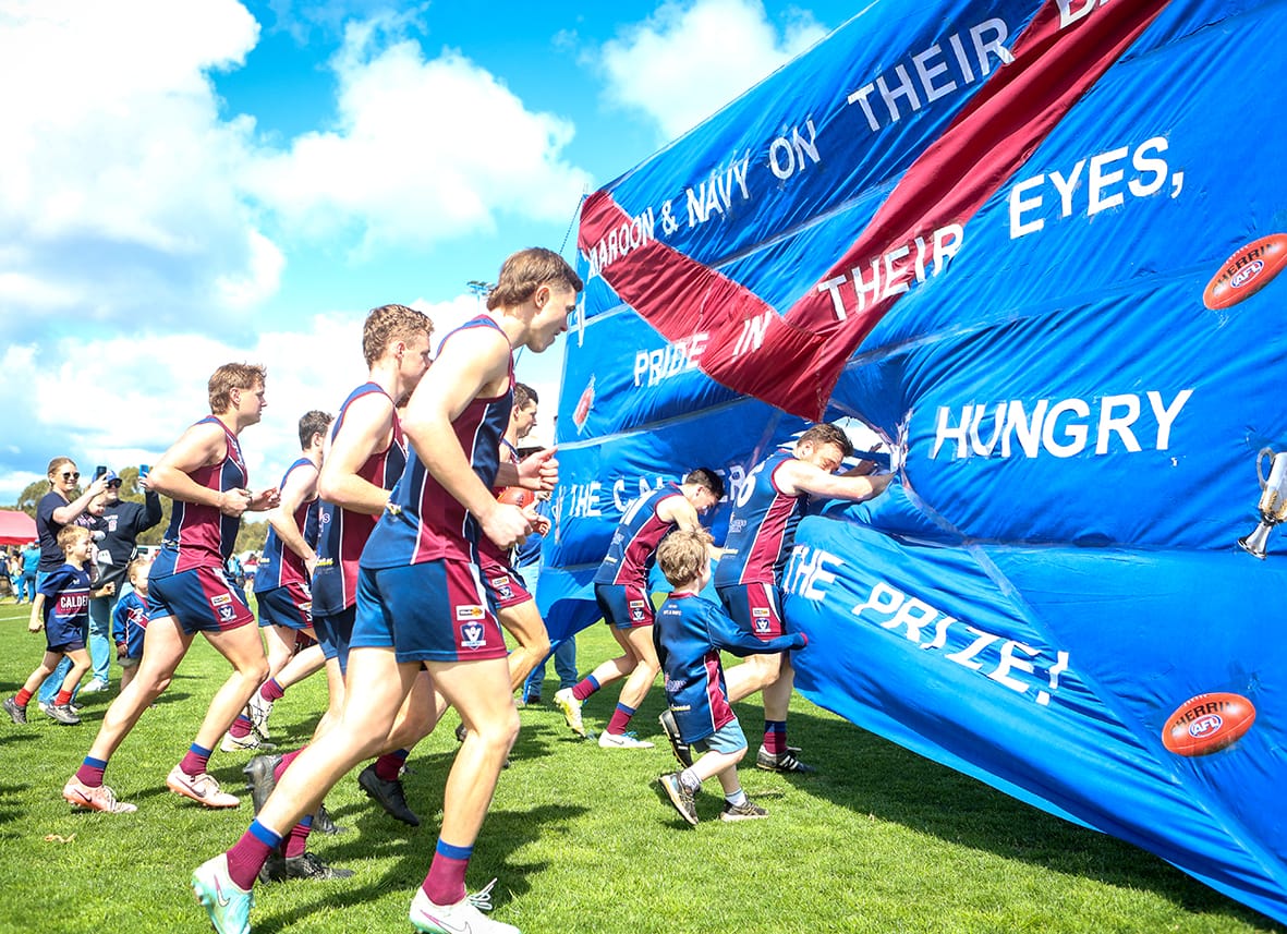 Lions Roar in Reserves Grand Final