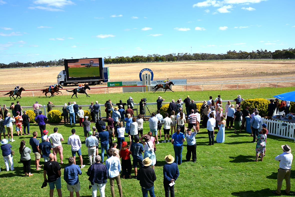 The crowd watching the finish of the Bet365 Donald Cup on Sunday, November 17.