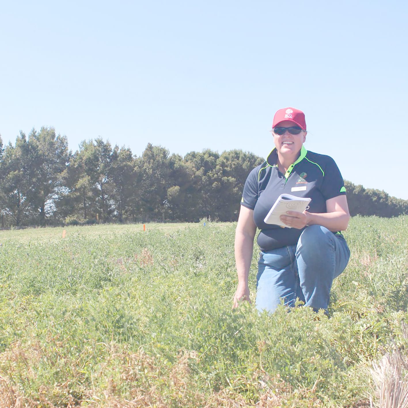 BCG’s Main Field Day