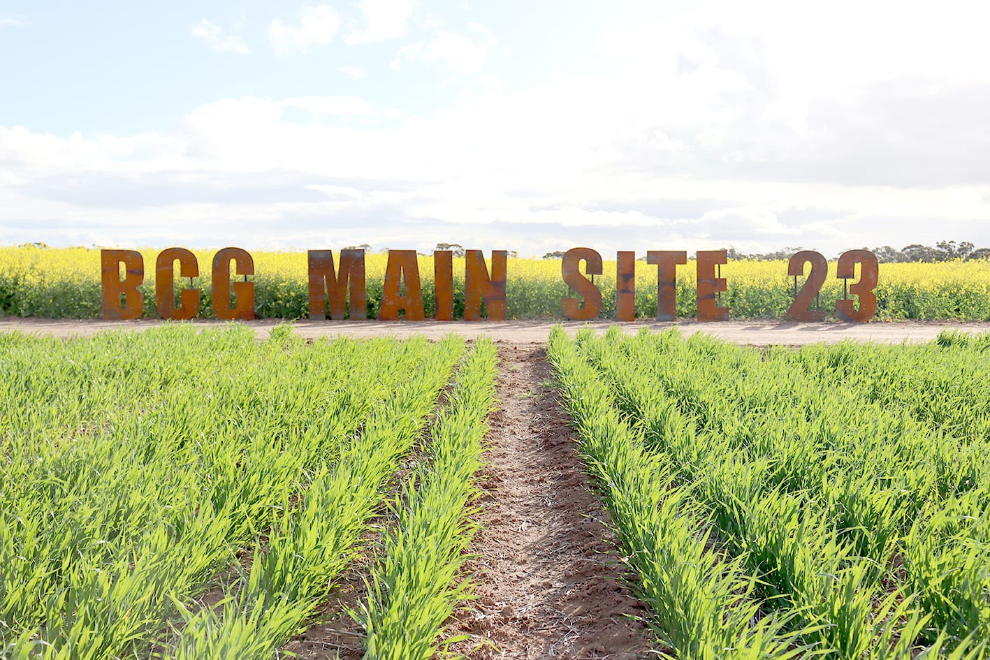 At BCG’s Main Field Day . . . Local Research for Local Farmers