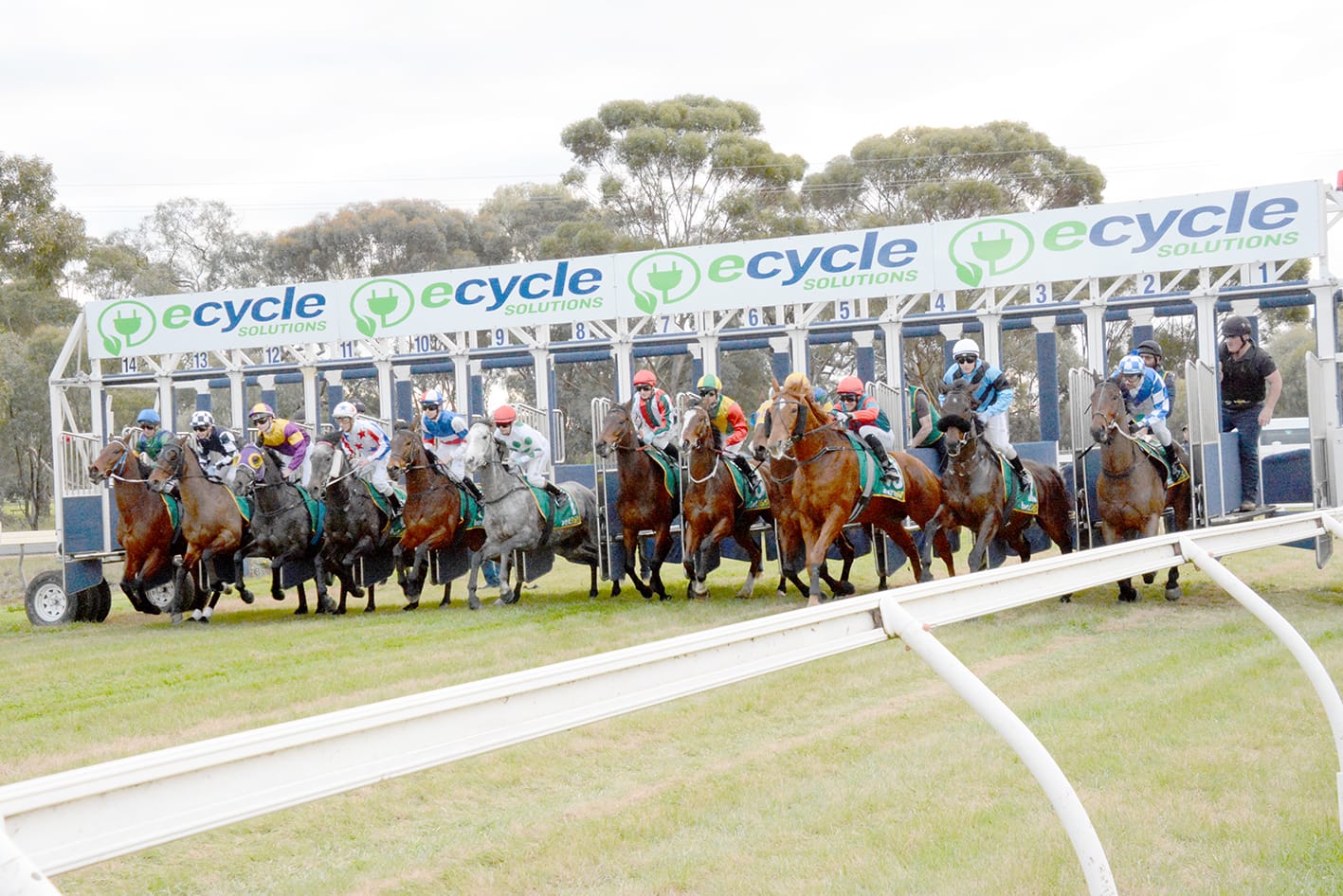 Last Race, Last Chance