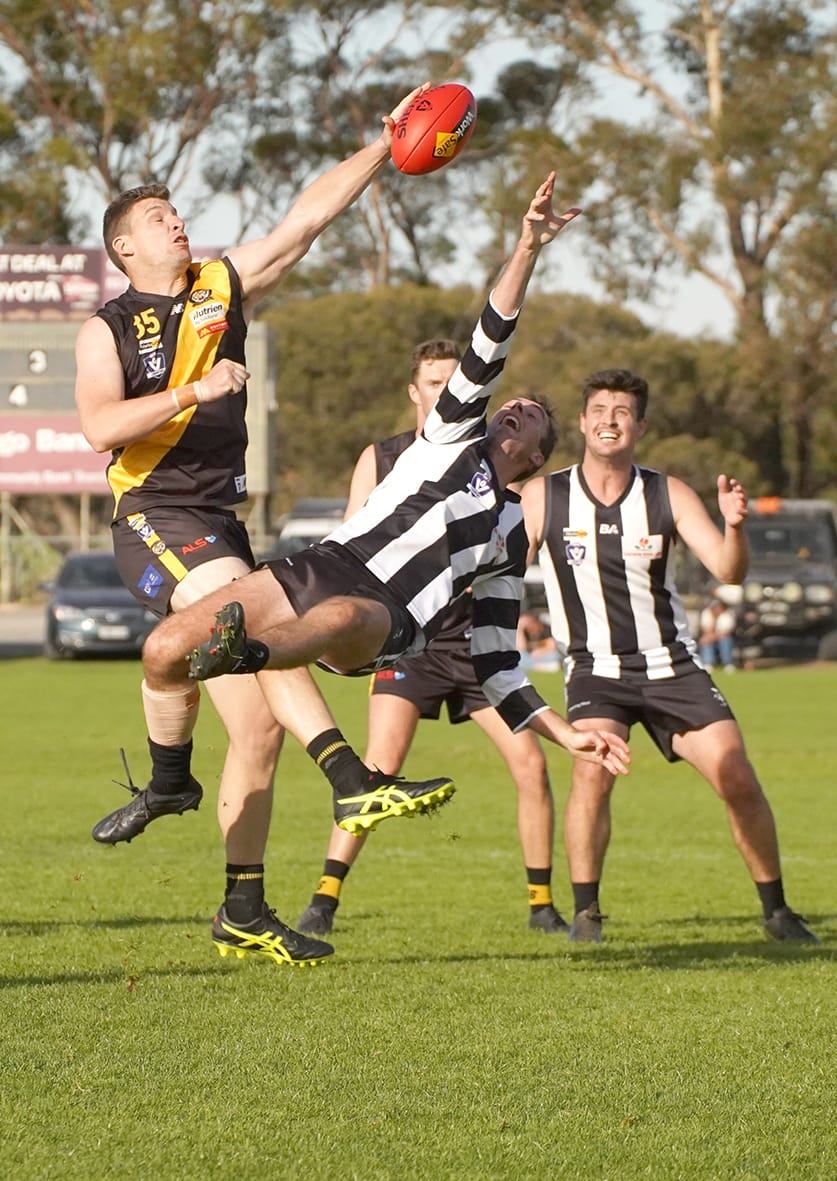 Tigers Begin Title Defence