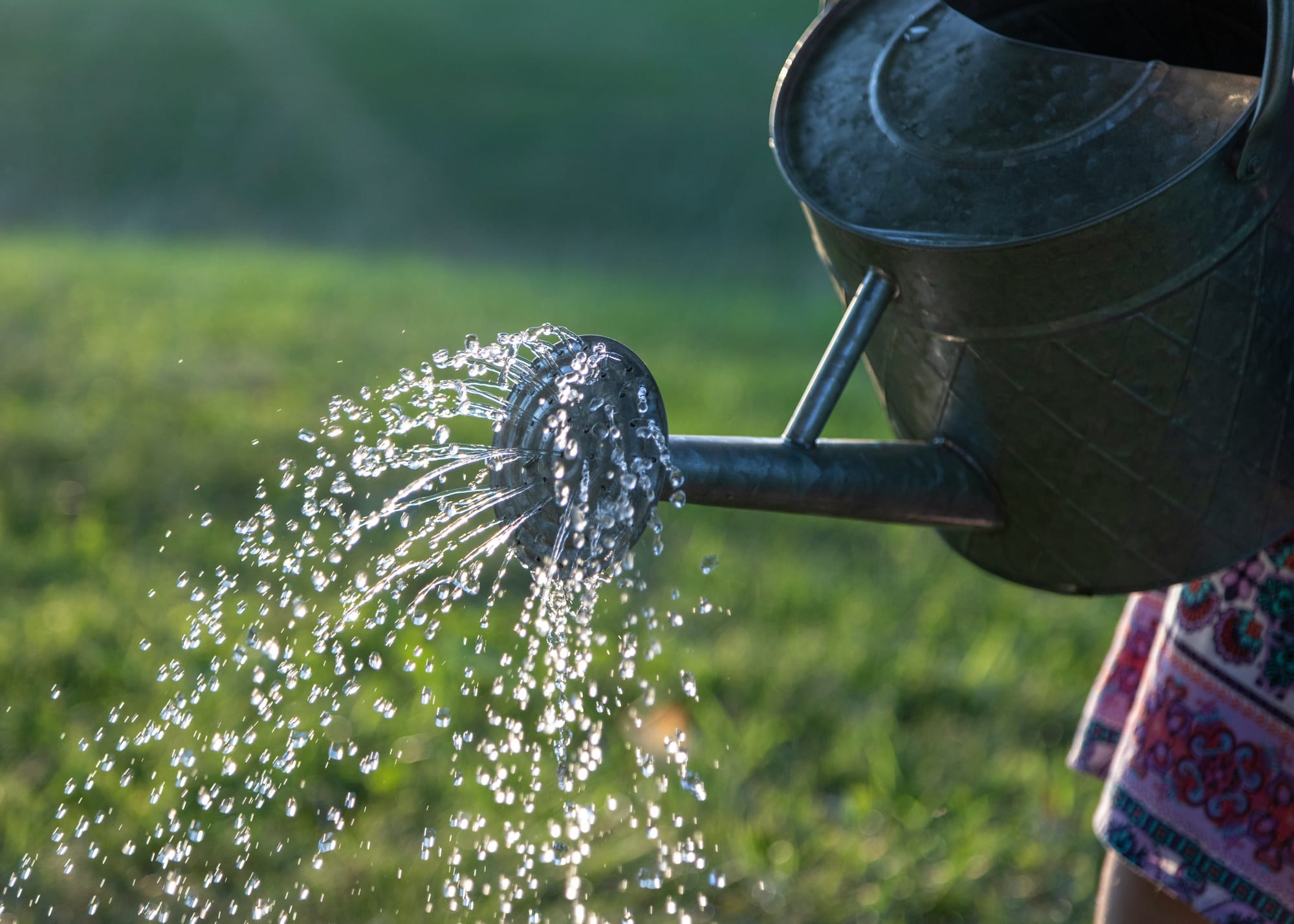 Water Corporations Stand Together