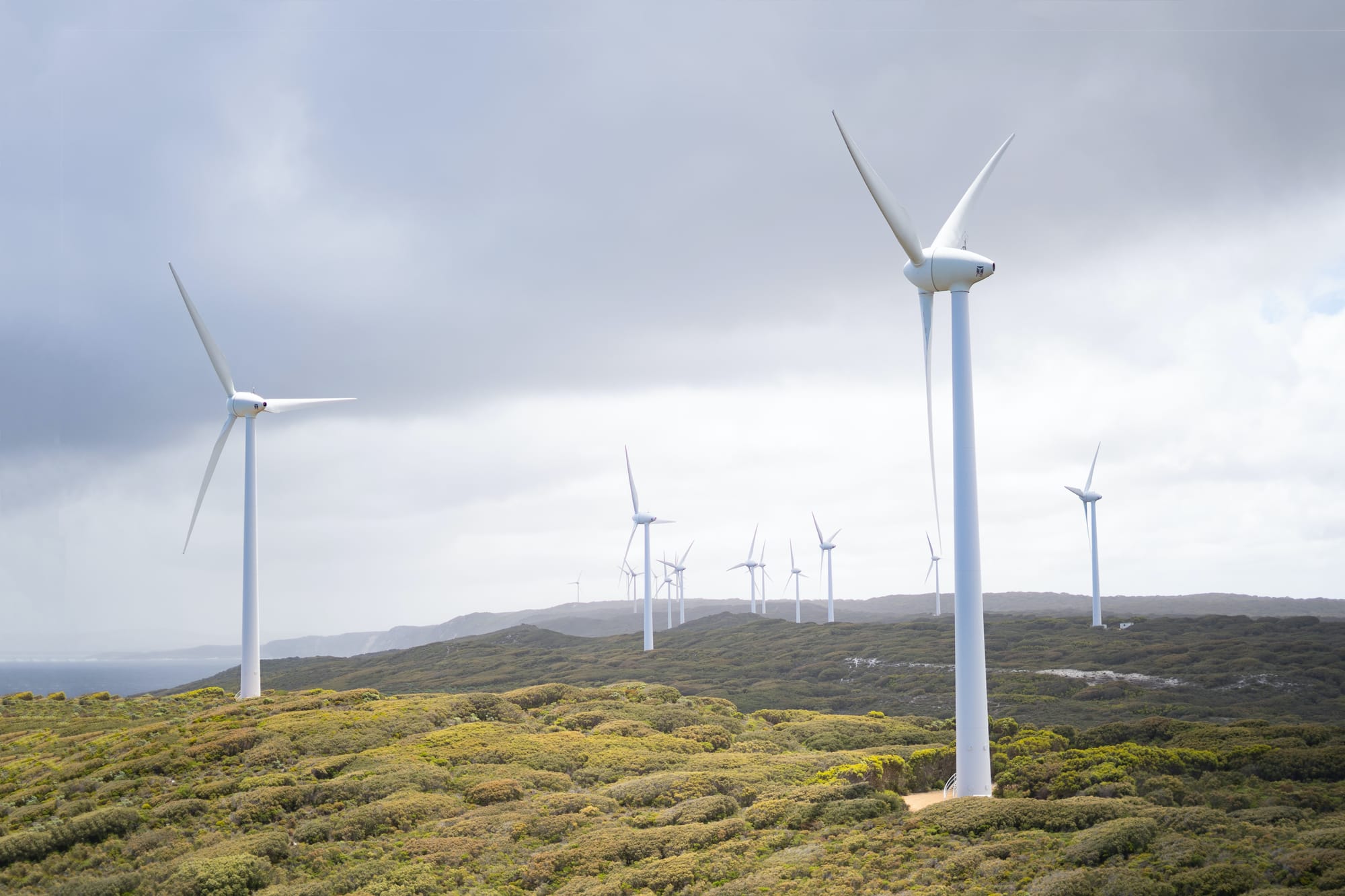 Wind Farm for Wilkur