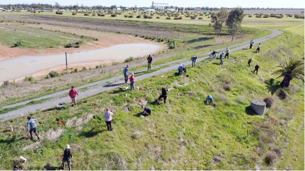 Planting the Wycheproof Wetlands