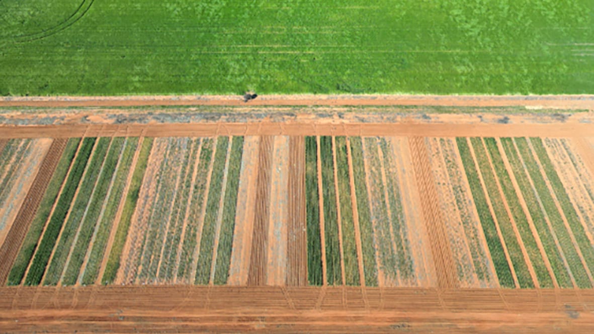 Important Results From Crop Rotation Study