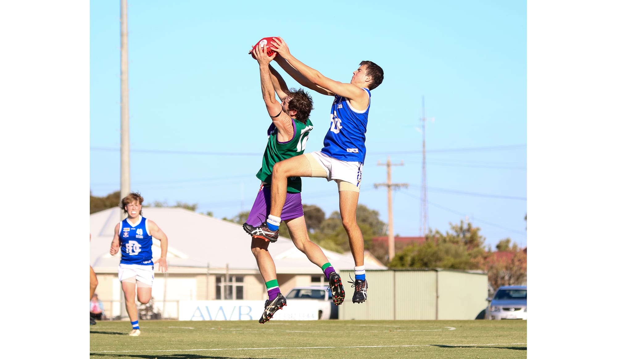 Bulls Blitz Royal Blues