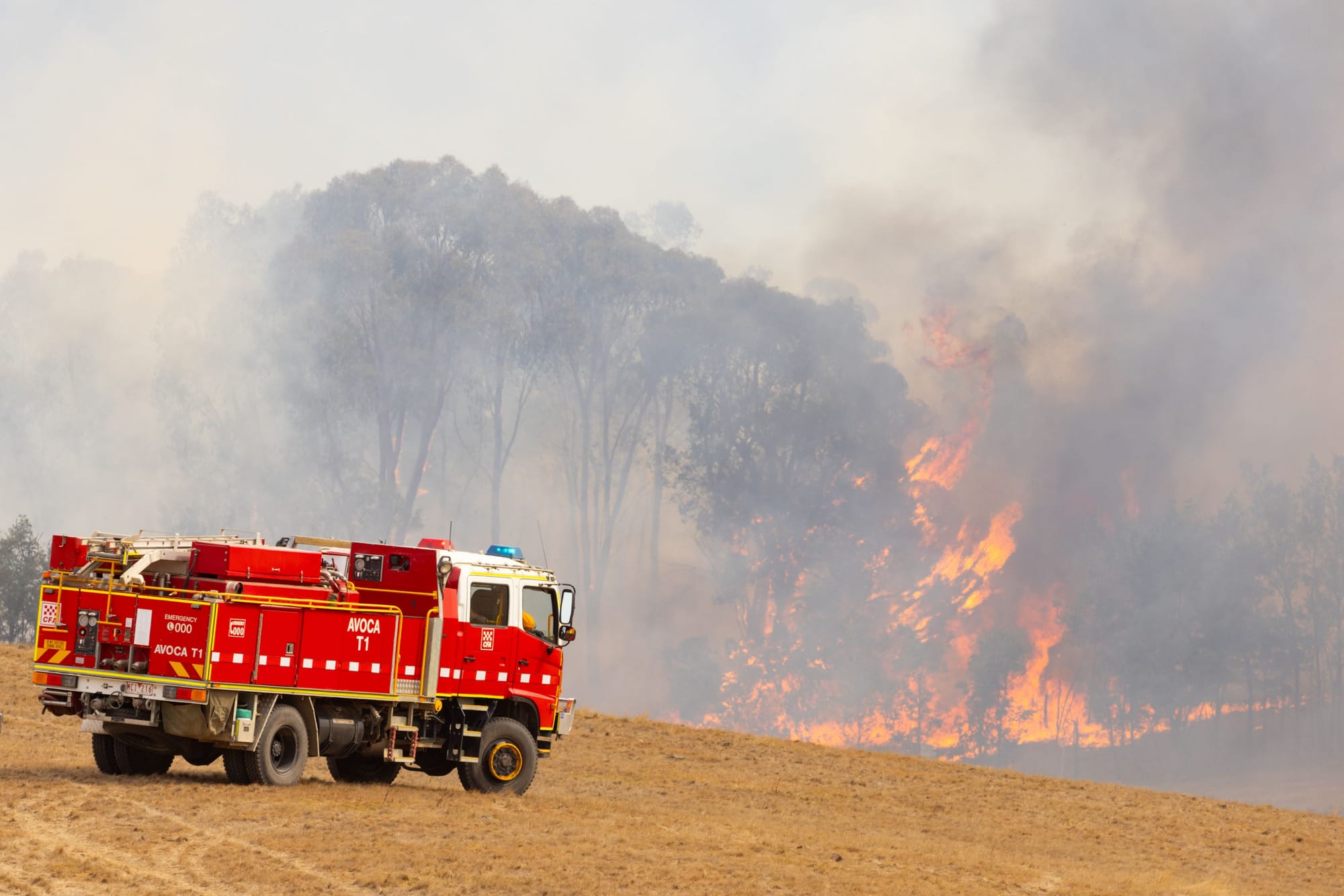 In Bushfire Risk Areas . . . Safety Overlooked by 45% of Victorians