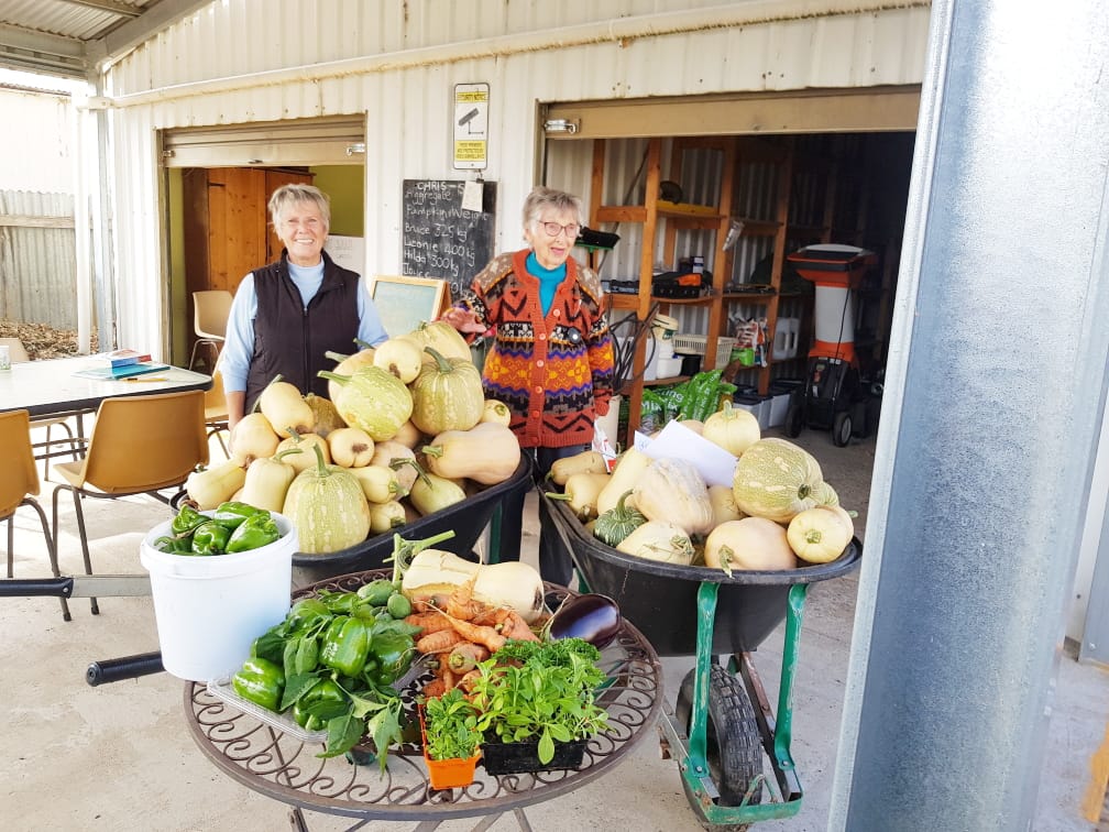 Harvest Time at Red Gate Garden
