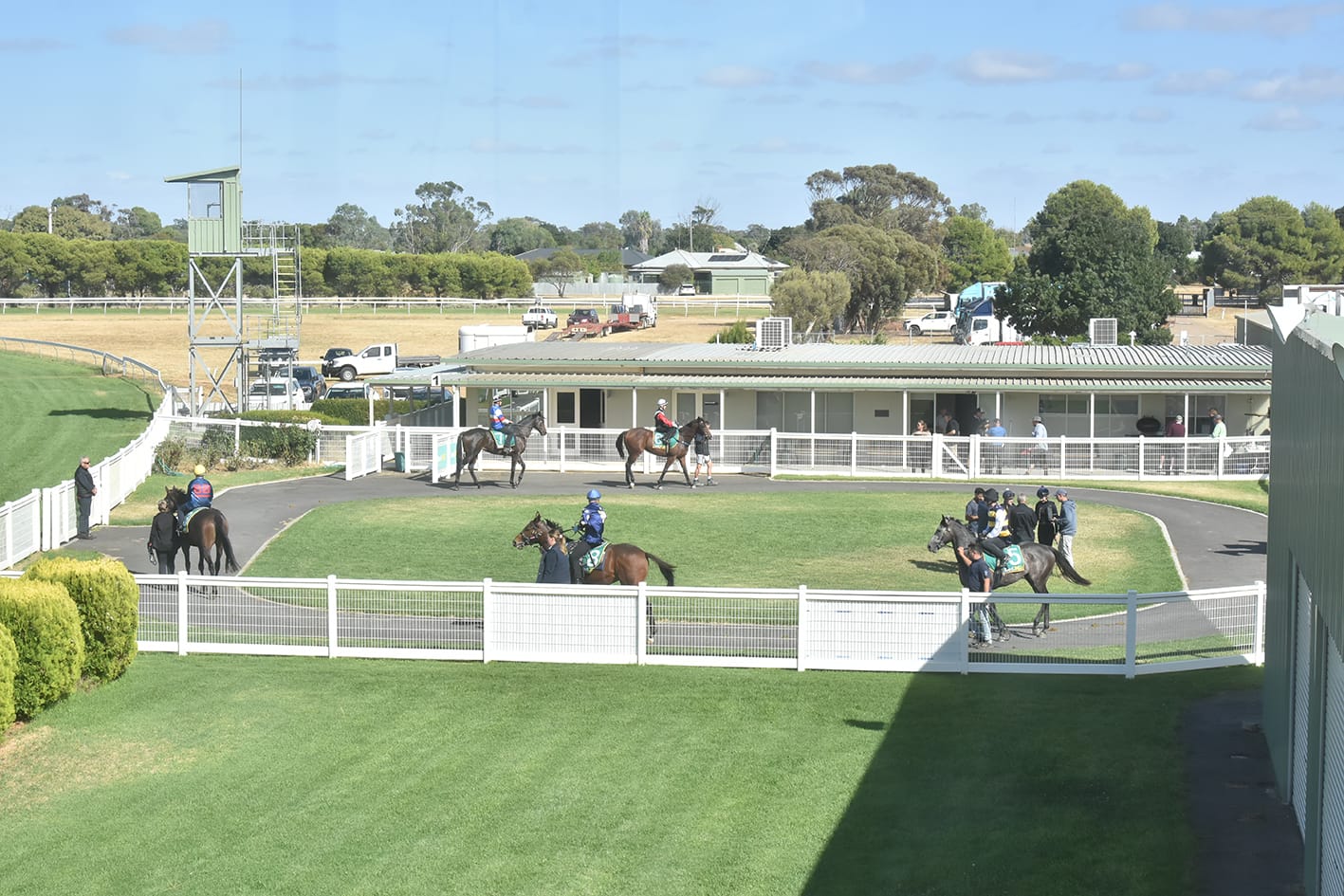 Donald Hosts Thoroughbred Trials