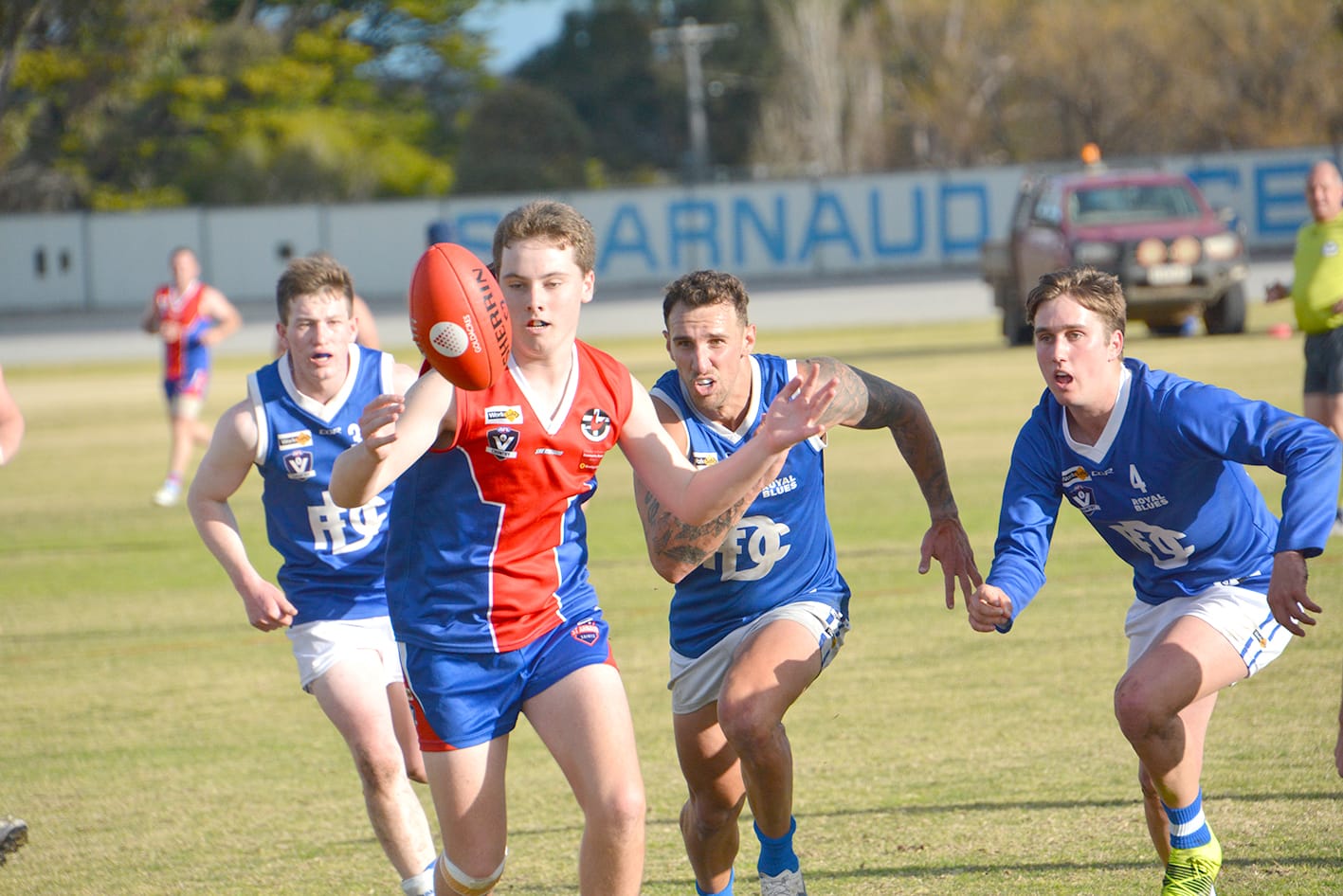 Strong Showing from Royal Blues