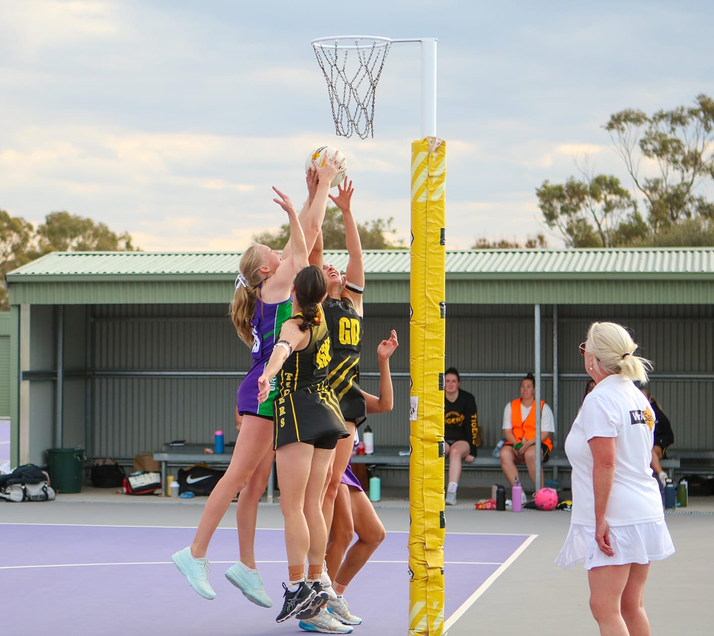 White Ribbons on Birchip Netball Courts