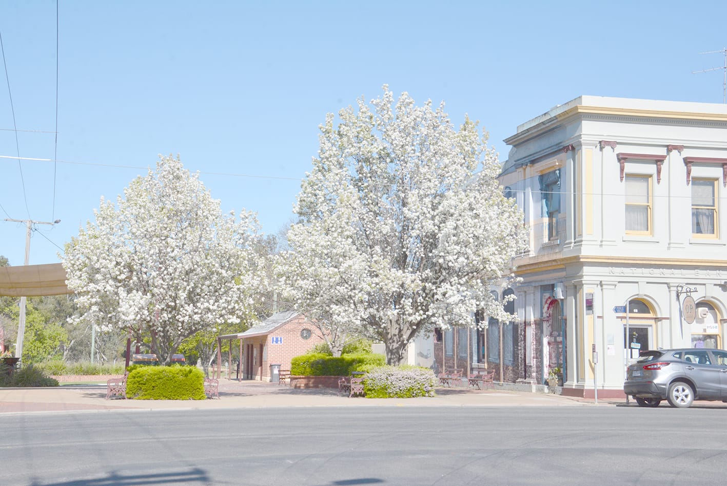 Mid-Town Mall Springs Into Life