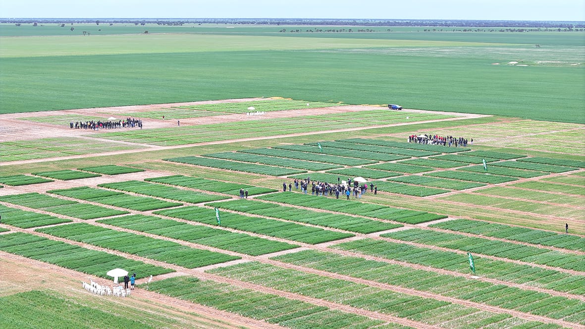 Tuesday, October 21, 2025