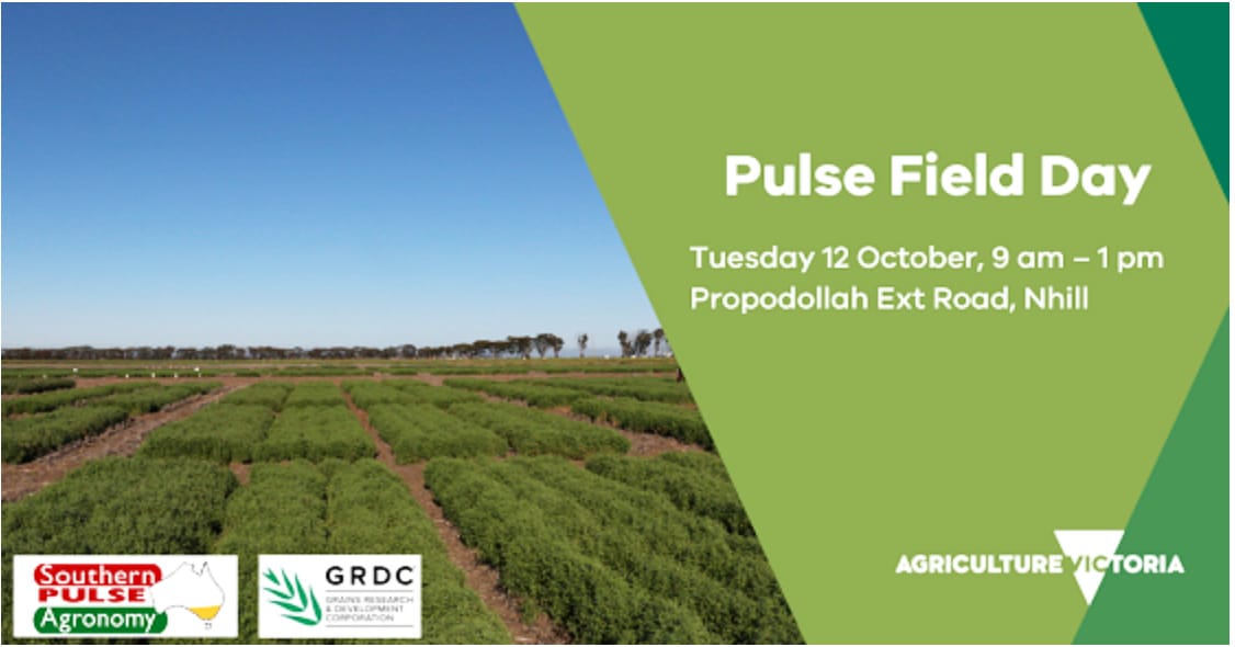 Pulses for Building Profit On Show at Nhill Next Week