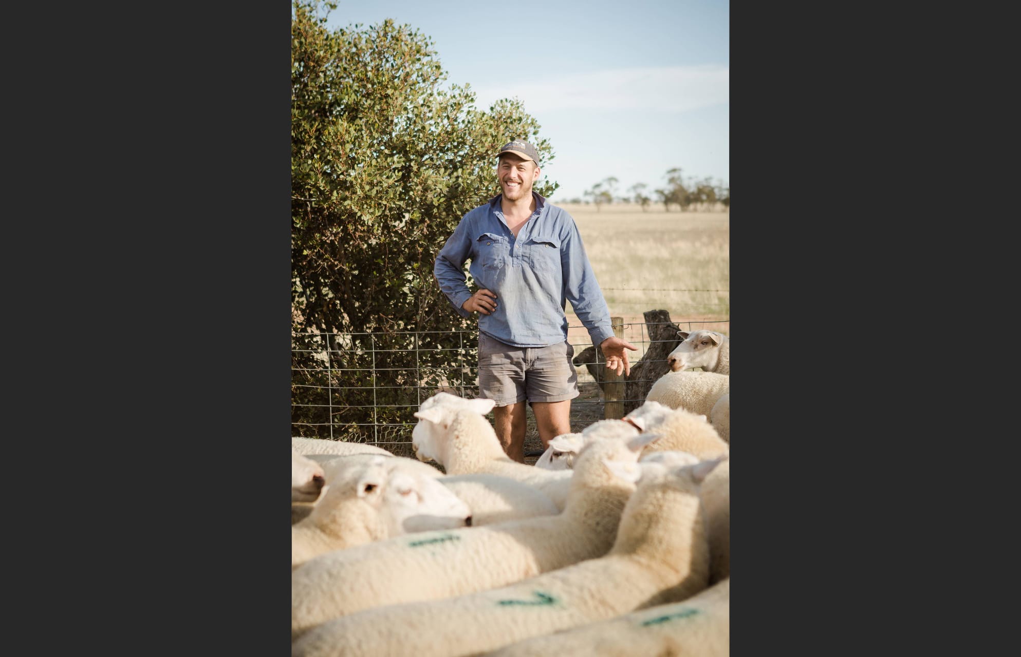 He’s More Than a Sea Lake-Nandaly Tiger: Joel Donnan is Zoetis Prime Lamb Producer of the Year