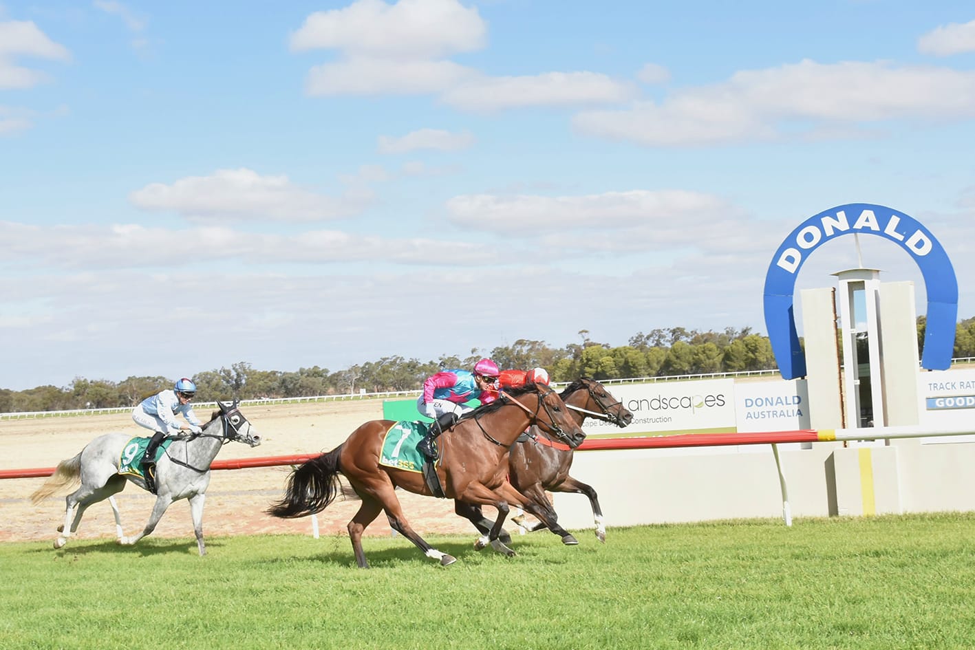 Dead Heat at Donald Races