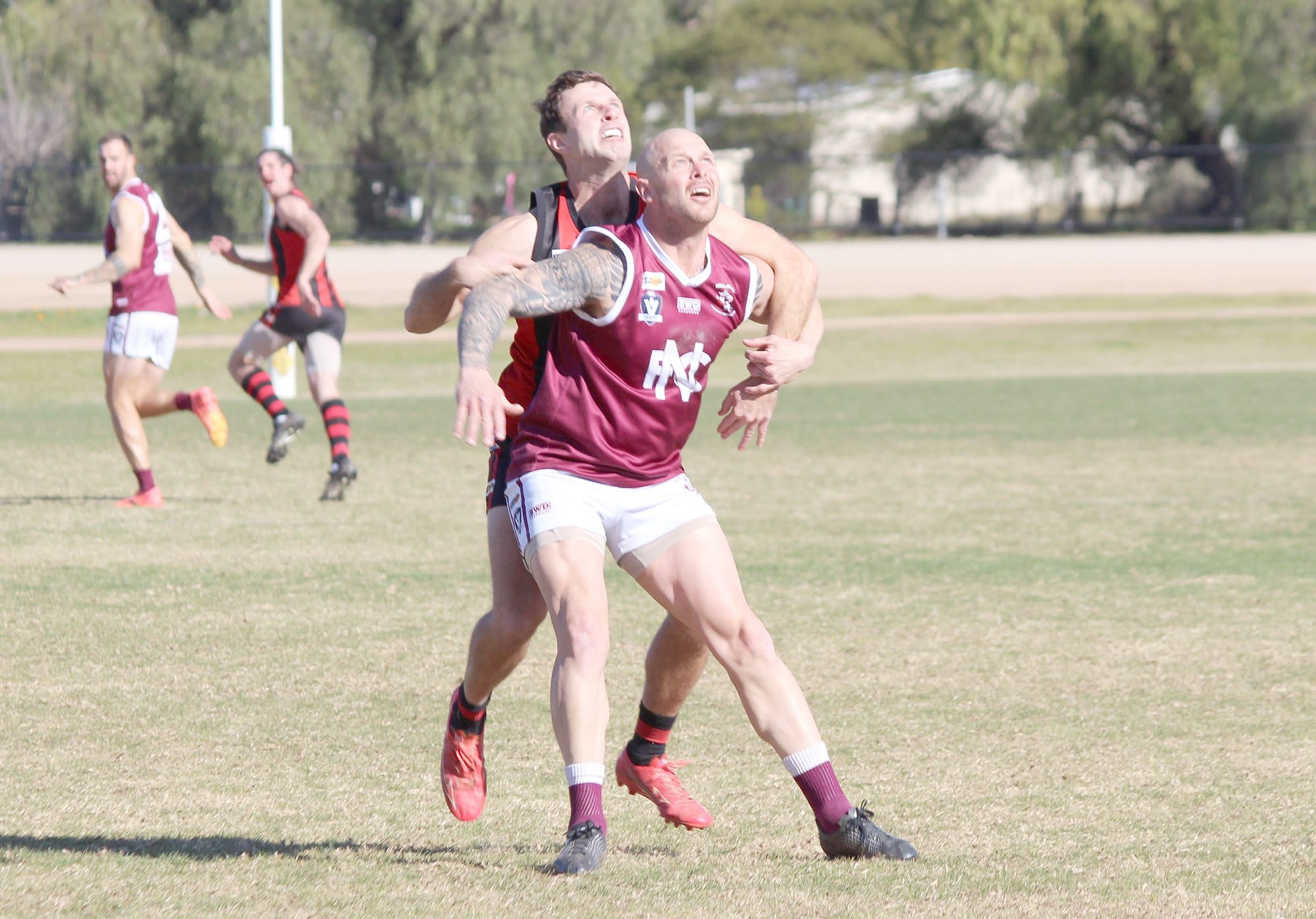 Redbacks Control Their Own Destiny