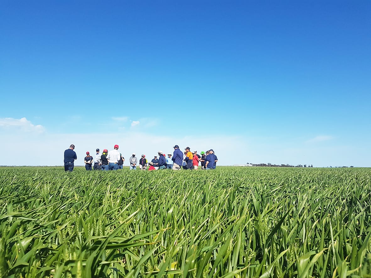 Register for BCG’s Young Farmer Network
