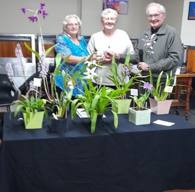 A Blooming Good Floral Display