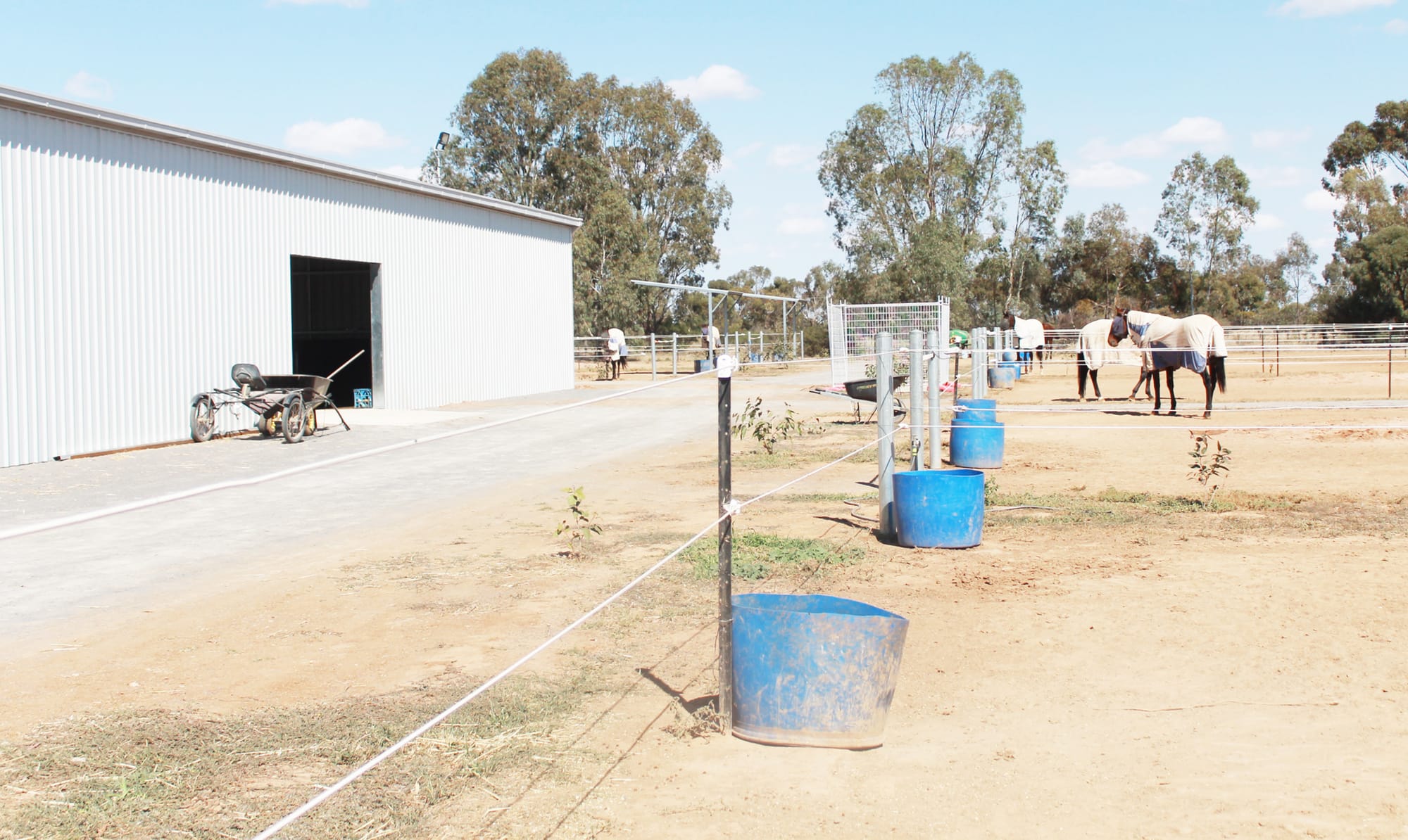 Punters Collect at Charlton Trots
