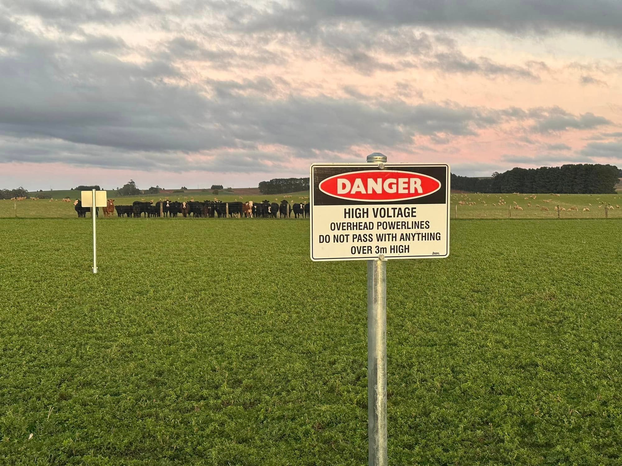 VFF Condemns Incursion On To Farm Properties