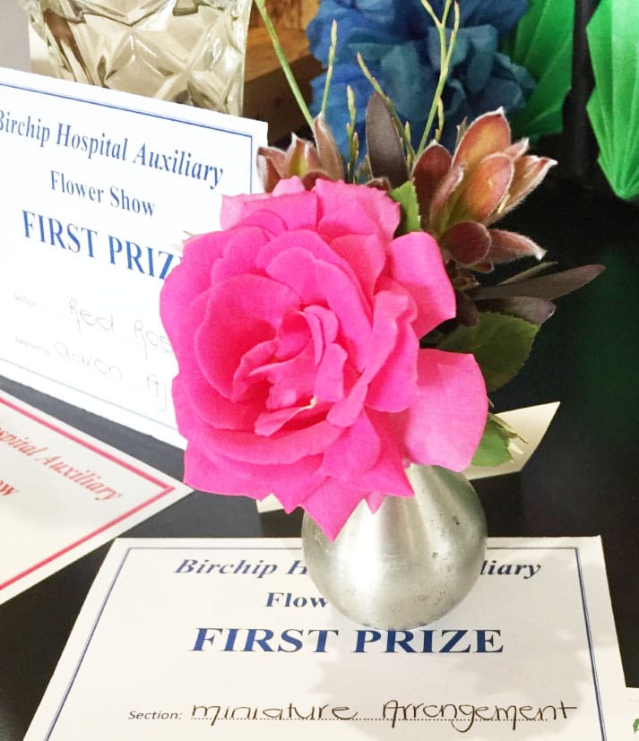 Flower Show: Sadly, No Go