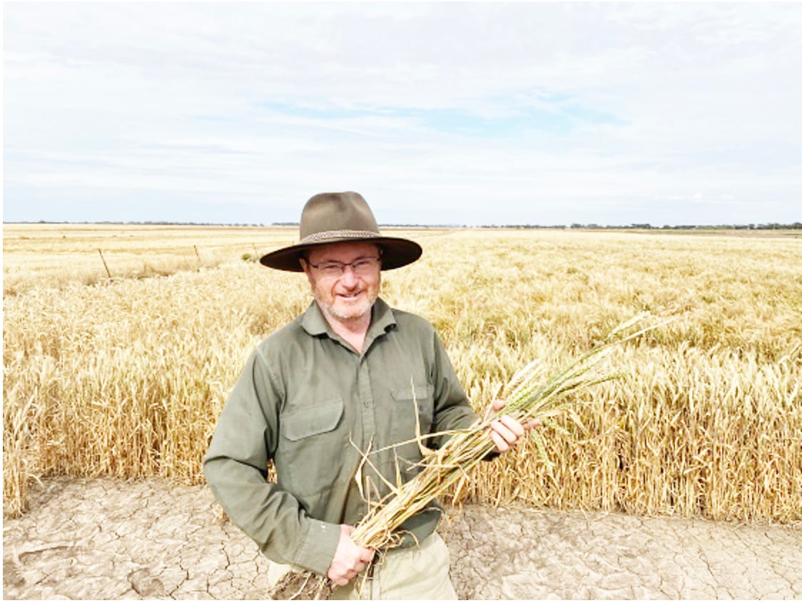 Be Proactive in Crop Disease Management