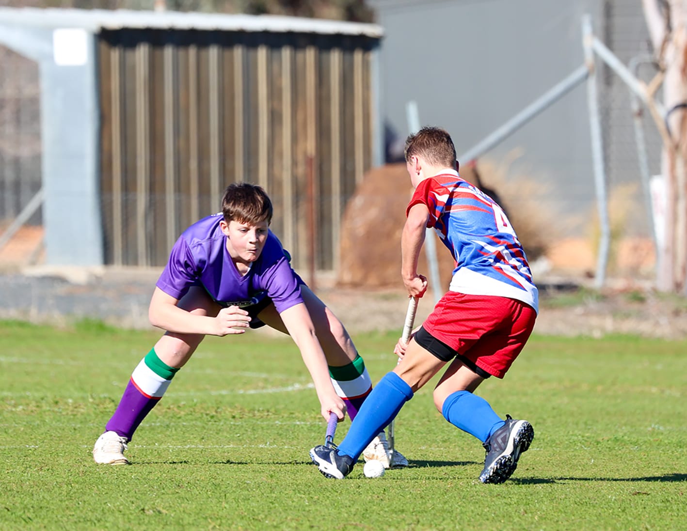 Hockey Battles for Bulls and Saints
