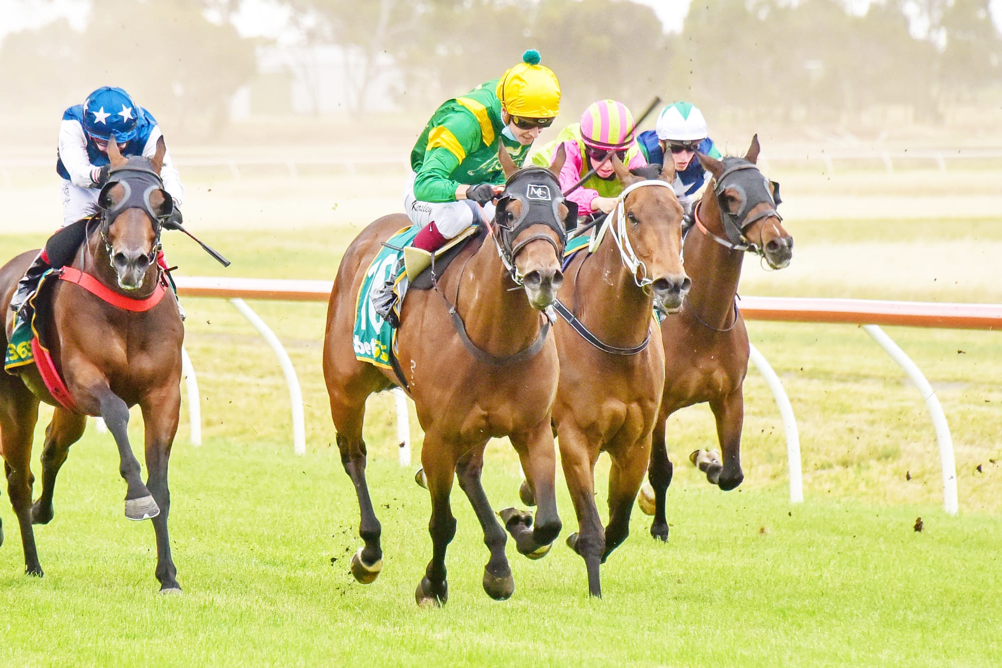 Vungers Wins Donald Cup