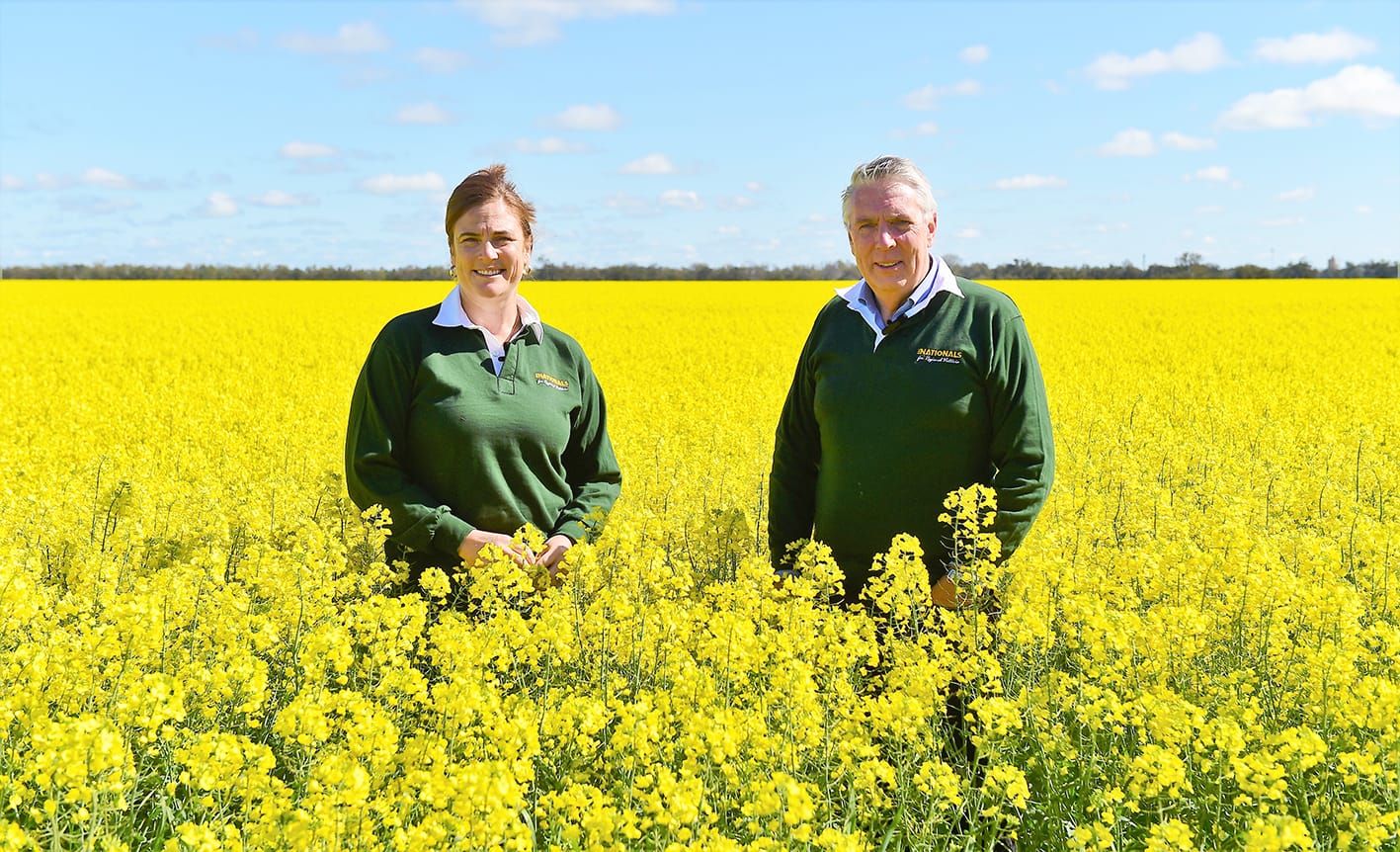 Boosting Environment with Soil Research