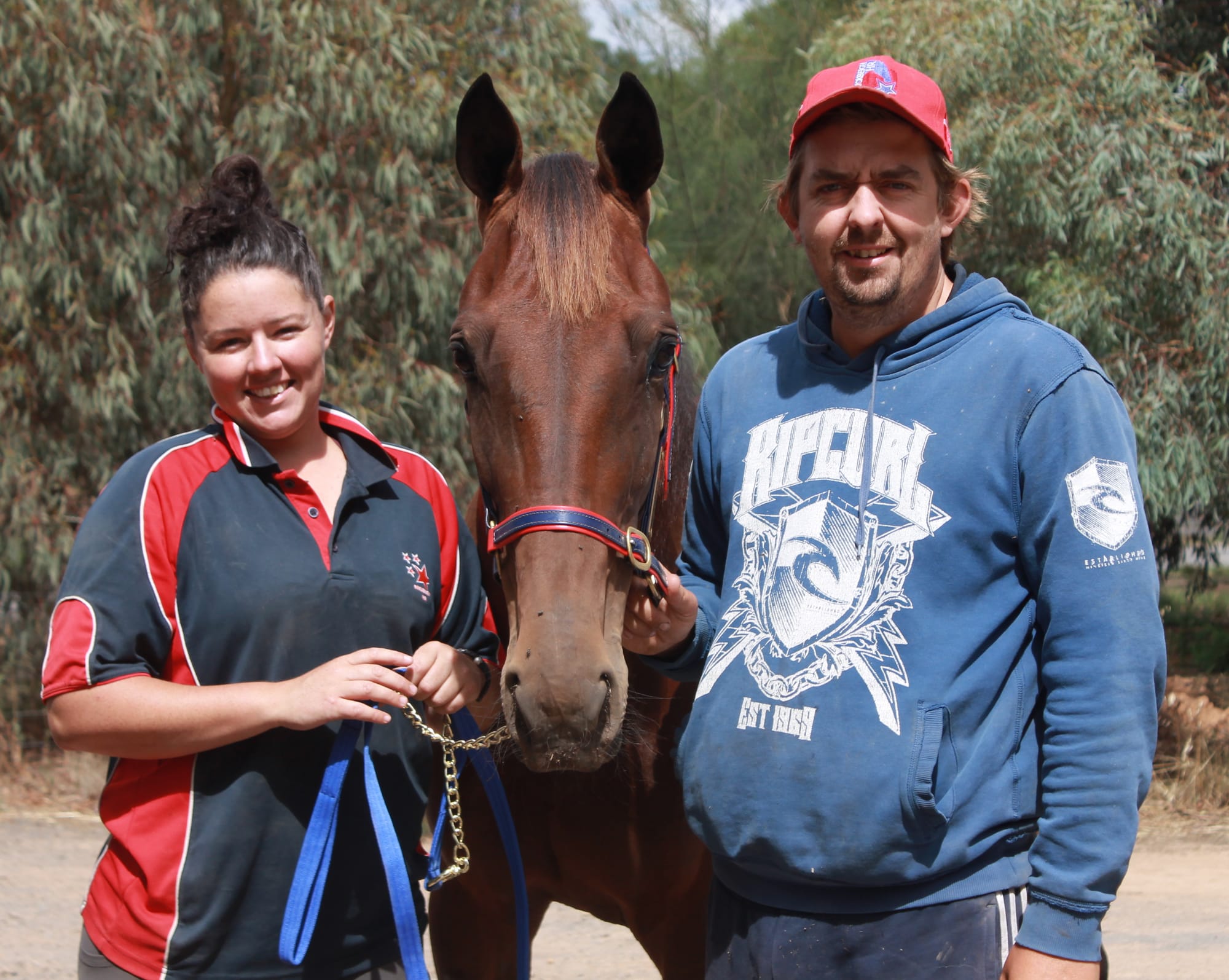 Maorishadow’s Tontine Trotters’ Final Victory