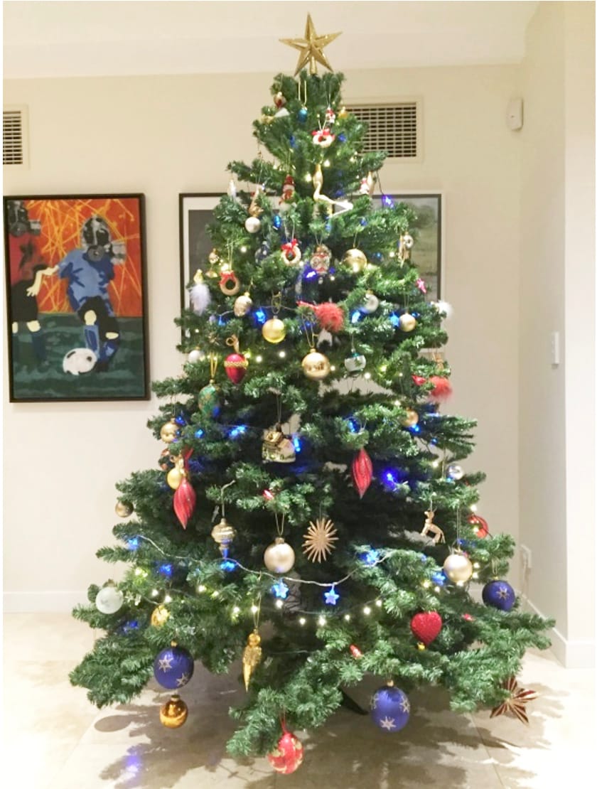 Pony Club’s Christmas Tree Fundraiser