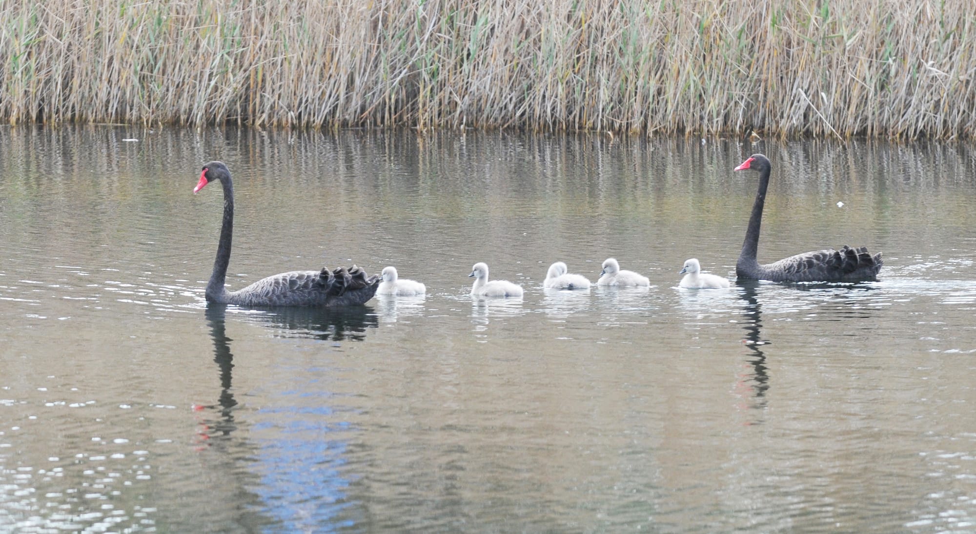 Friday, July 10, 2020