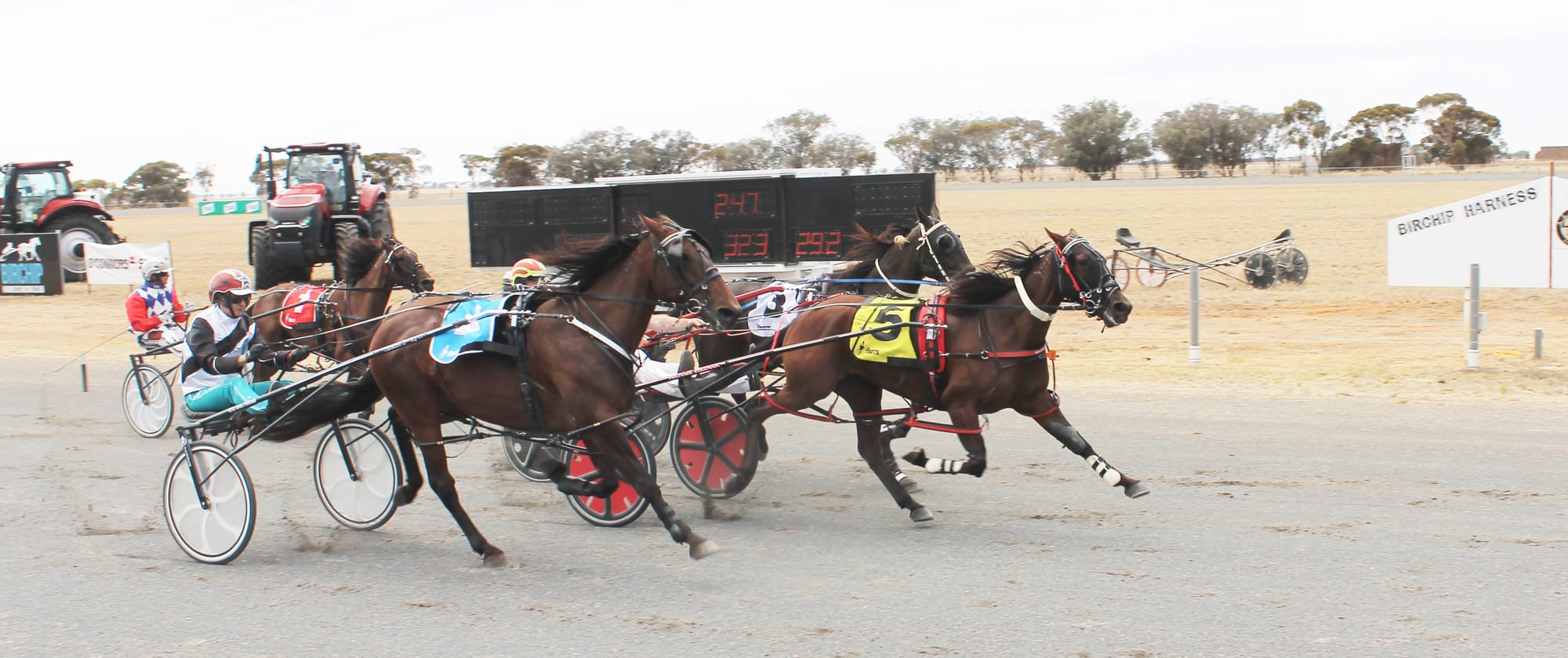 Welcome Back to the Trots