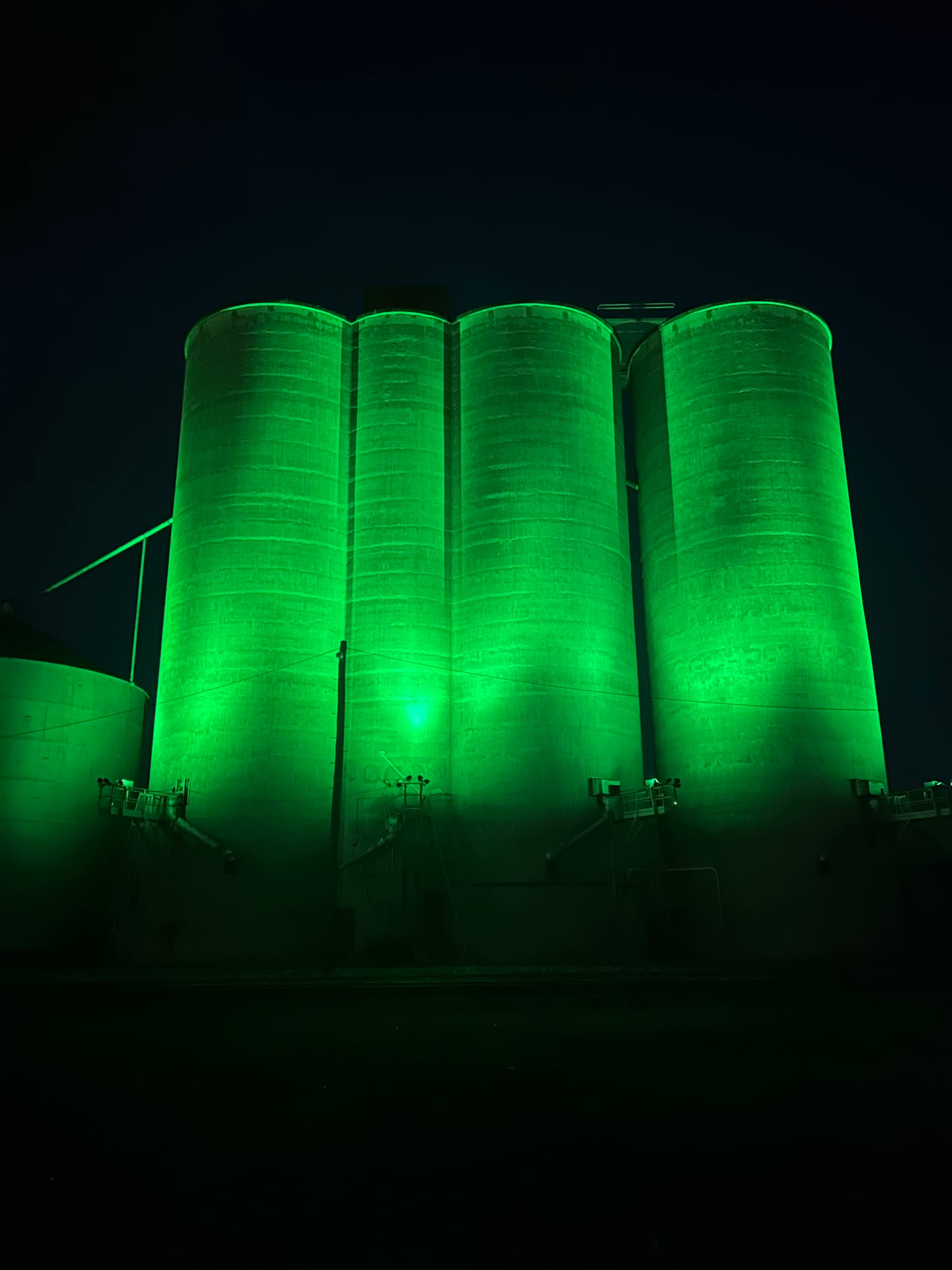 Travellers Turn Green with Envy