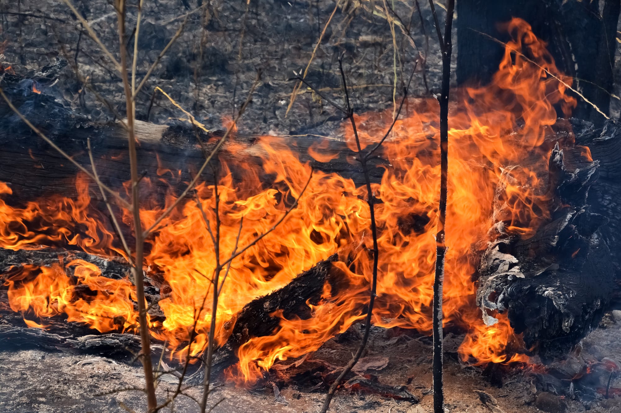 Prepare Properties: Fire Season Looms