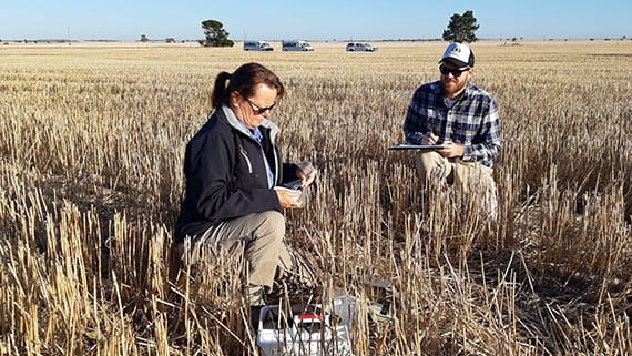High Mouse Activity: Several Regions on Alert