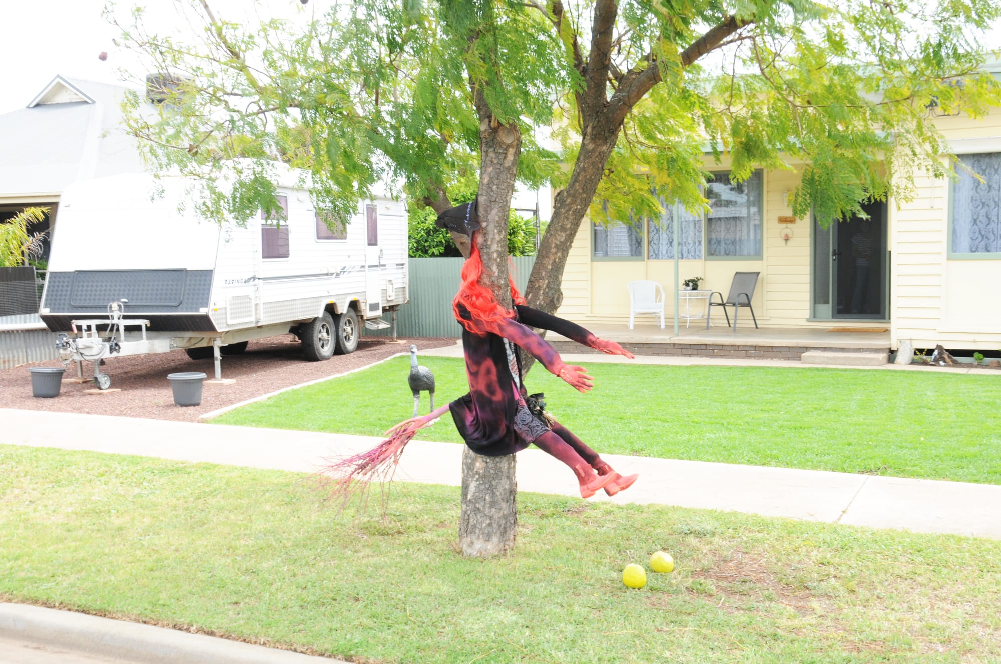 Crash landing in McCracken Avenue, Donald.